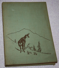 Der Gamsbock Tschief uns seine