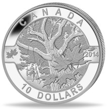 Kanada 2014 ahornbaum - kanada,