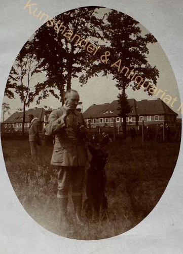 Orig foto hunde - orig.,