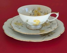 1955 Hutschenreuther Selb Sammeltasse Sammelgedeck Gold Blumen Grün Gelb Kaffee