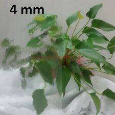 Zimmertür GLAS Kathedral 4mm