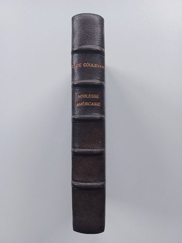 Stein von coulevin - stein,