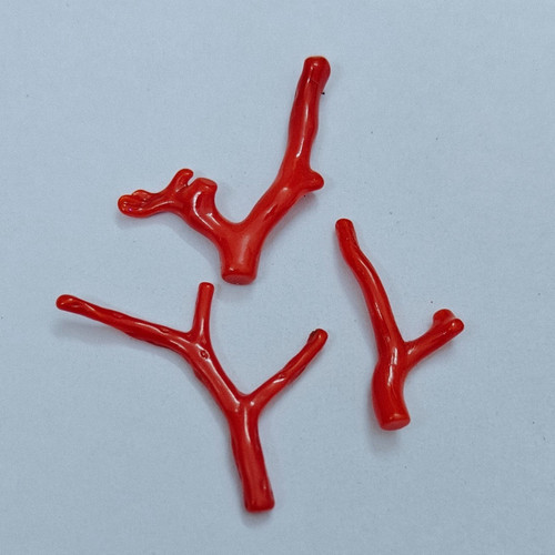 Rote koralle polnischer zweig - polnischer,