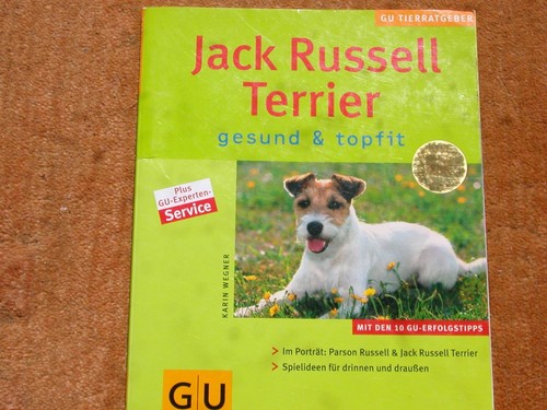 Buch jack russel terrier - russel,