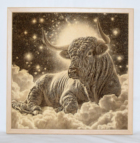 Wandbild stier 30x30 - wandbild,