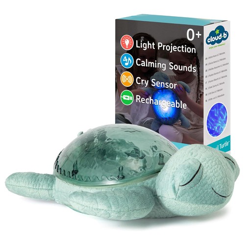 Tranquil turtle - tranquil,