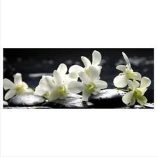 Glasbild 125x50 XL Orchidee