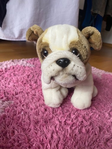 Teddy hermann mops hund - teddy,