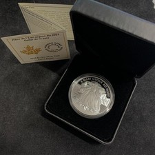 1 Dollar Kanada 2025 "Peace-Dollar" .9999 Silber PP