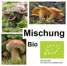 Bio Pilze 250g Mix