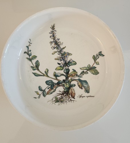 Vileroy boch botanica - vileroy, &