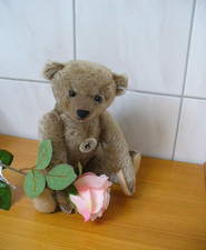 Steiff Teddy Bär 1908 Replica