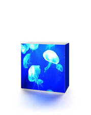 OCTAlumina Counter / Theken - Led beleuchtet - toolless - zerlegbar  ModeOL C800