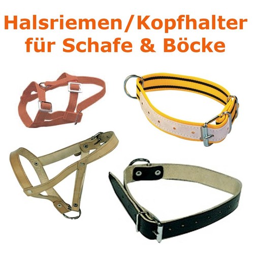 Halsriemen kopfhalter für - halsriemen,