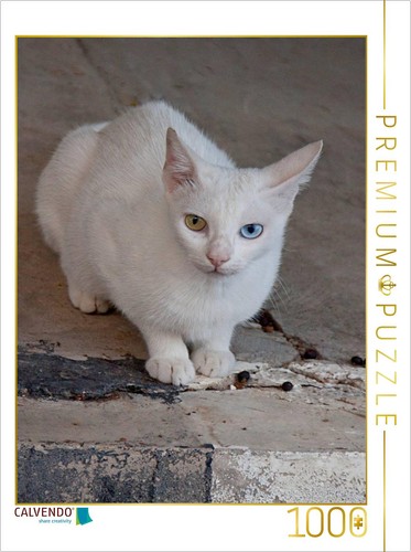 Calvendo puzzle katze der - puzzle,