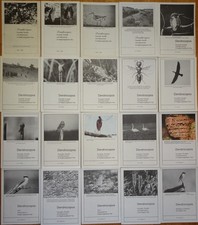20 Ex Dendrocopos: Faunistik