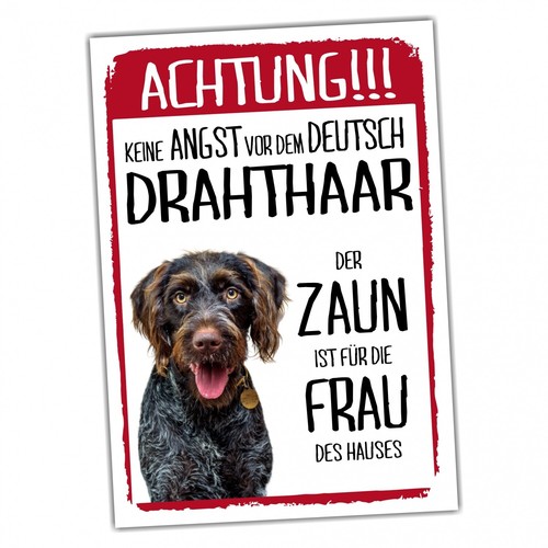 Deutsch drahthaar dog - drahthaar, schild