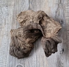 Mopani Wurzel, Schwemmholz