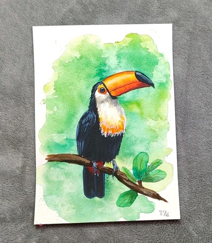 Tukan gemälde aquarell - tukan,