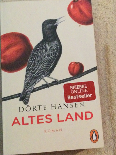 Altes land roman - land,