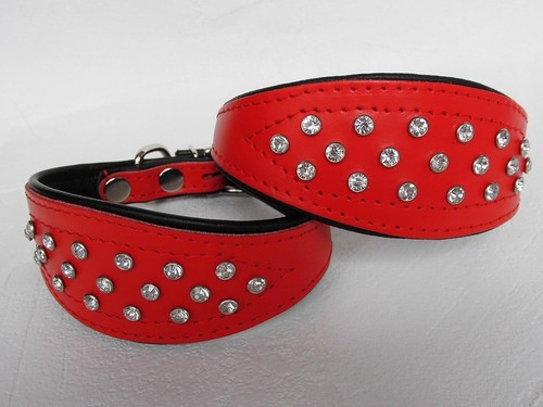Windhund greyhound halsband - windhund,