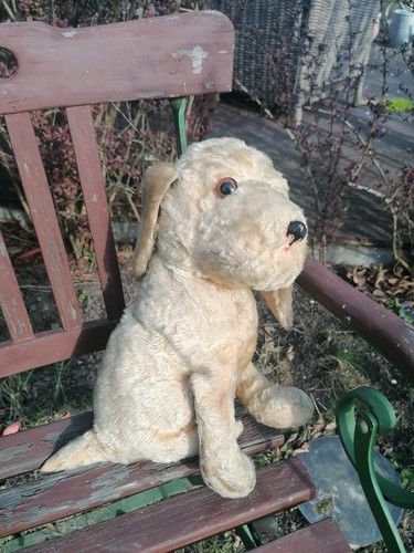 Herrman teddy hund terrier - herrman,