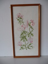 Aquarell  Feldblumen signiert