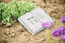 Frostfester Grabschmuck Buch