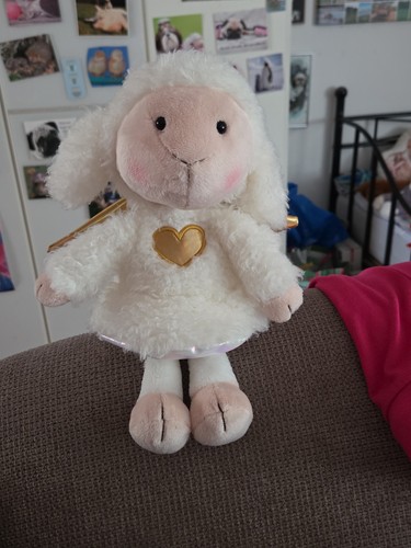 Nici schutzengel schaf la - nici,