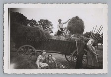 Liesen Hallenberg - Heuernte Landwirtschaft - Foto 1930er