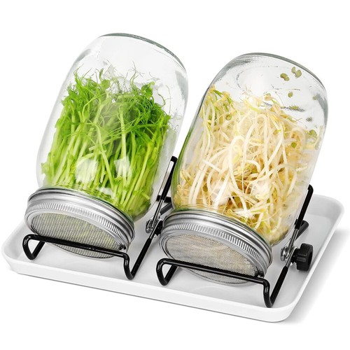 2er 1000ml sprossenglas set - 1000ml,