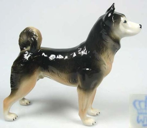 Siberienhusky porzellanfigur - siberienhusky,