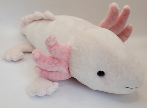 Alice der axolotl suki - axolotl,