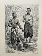 1884 Ansicht siamesischer