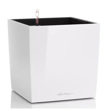 Lechuza Pflanzengefäß CUBE
