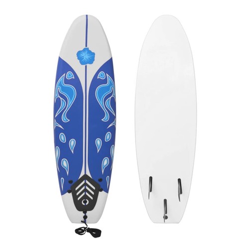 Surfbrett 170cm einsteiger - surfbrett,