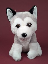 Hund Husky PETS2 Cuddle  Penny