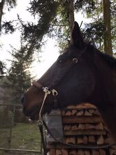 Mechan. Hackamore, WB,  zusammen mit Einohrzaum und Westernzügeln, gebr., selten
