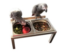 Papageien,Vögel, Futternapf