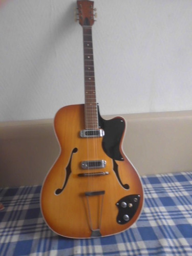 Gitarre bastler projekt - gitarre,