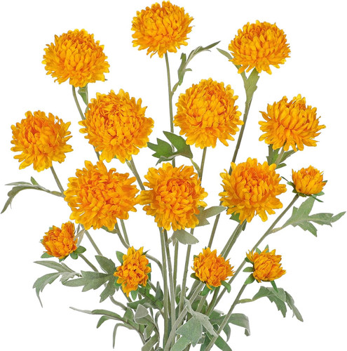 Chrysantheme - 70,