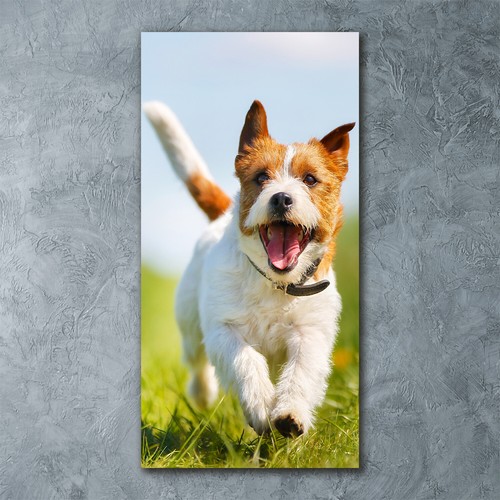 Wand bild kunstdruck - wand-bild,