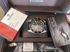 ⌚️ Tudor Black Bay 79230N
