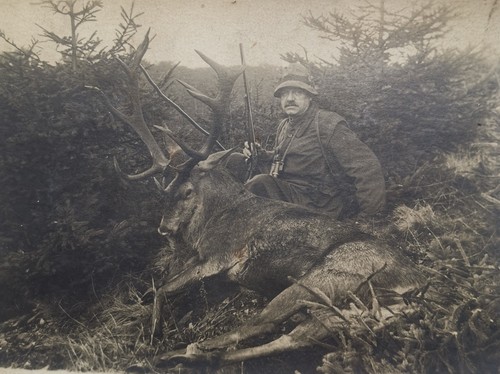 Foto antik hirschjagd jagd - antik,