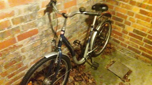 Pegasus damenfahrrad - pegasus,