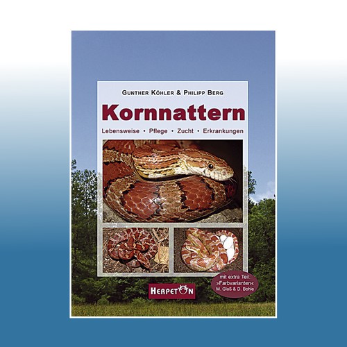 Kornnattern günther köhler - kornnattern, |