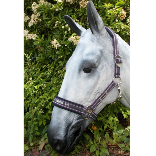 Eskadron halter slide - eskadron,