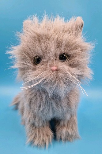 Pets2cuddle katze grau - katze, tcc