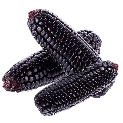 Maiz morado lila - maiz, mais