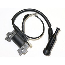 Zündspule für Benzinmotor